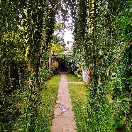 希克杜沃Mandara Rest住宿加早餐旅馆 外观 照片