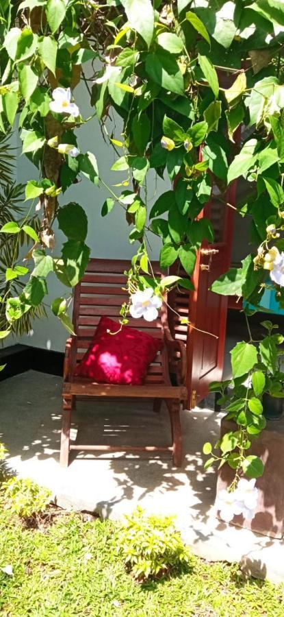 希克杜沃Mandara Rest住宿加早餐旅馆 外观 照片