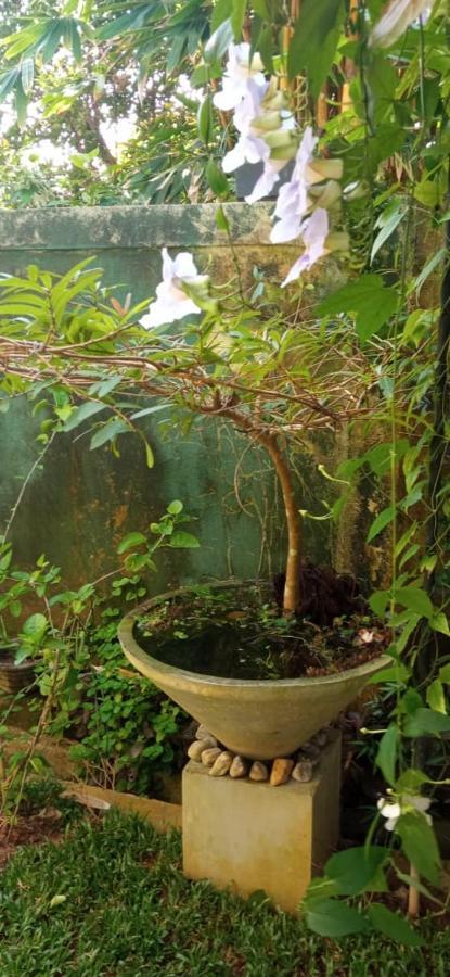 希克杜沃Mandara Rest住宿加早餐旅馆 外观 照片