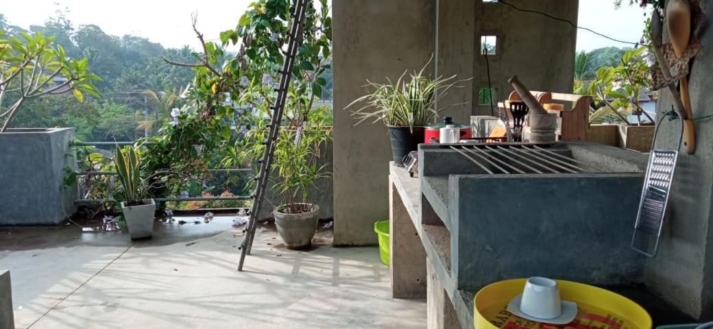希克杜沃Mandara Rest住宿加早餐旅馆 外观 照片