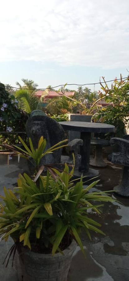 希克杜沃Mandara Rest住宿加早餐旅馆 外观 照片