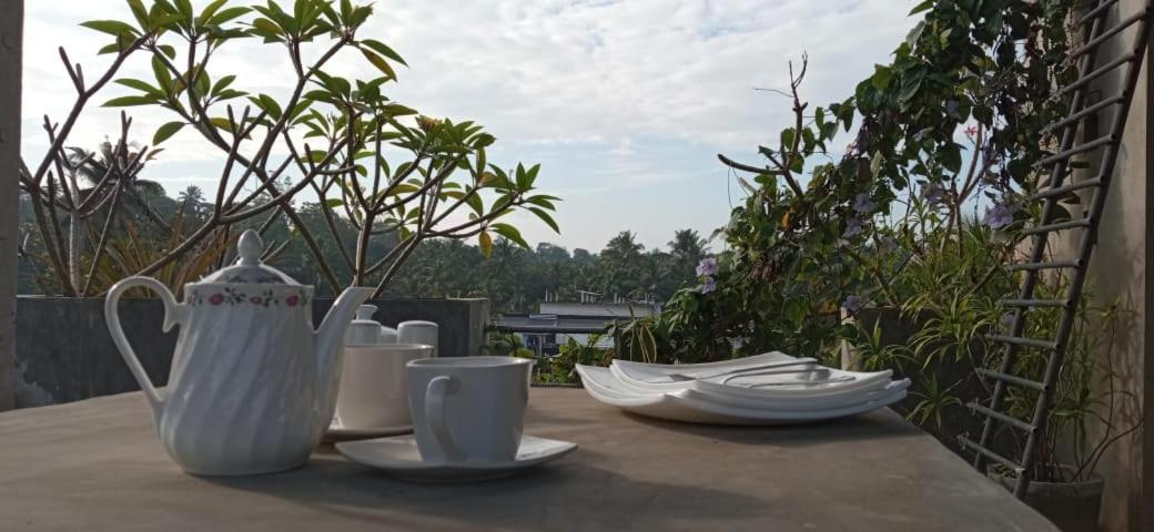 希克杜沃Mandara Rest住宿加早餐旅馆 外观 照片