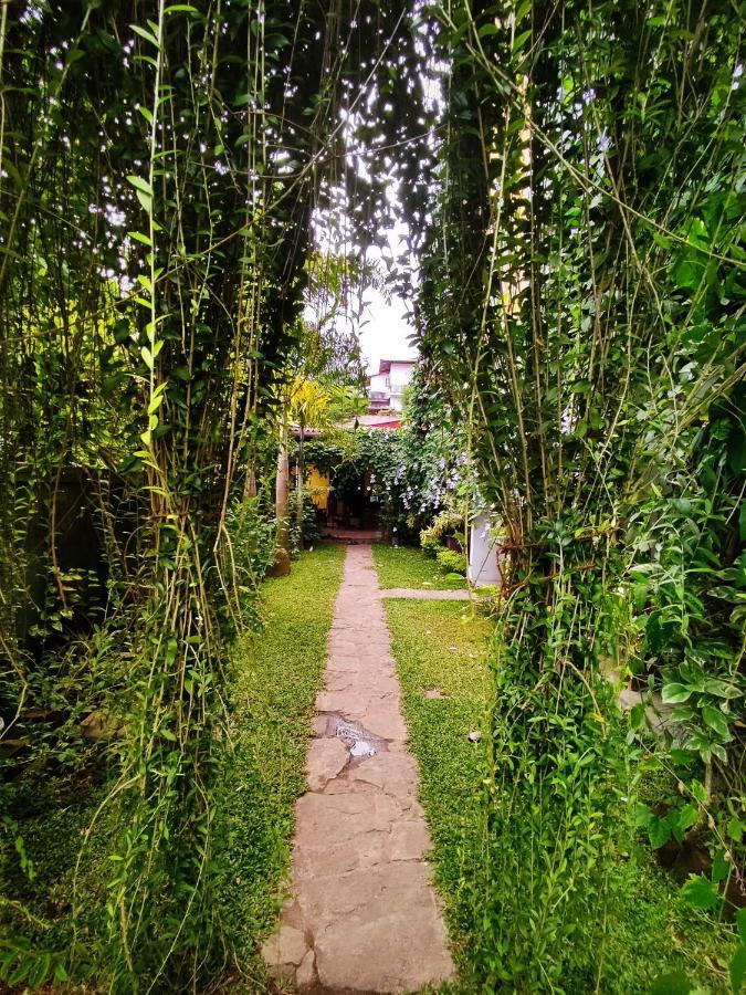 希克杜沃Mandara Rest住宿加早餐旅馆 外观 照片